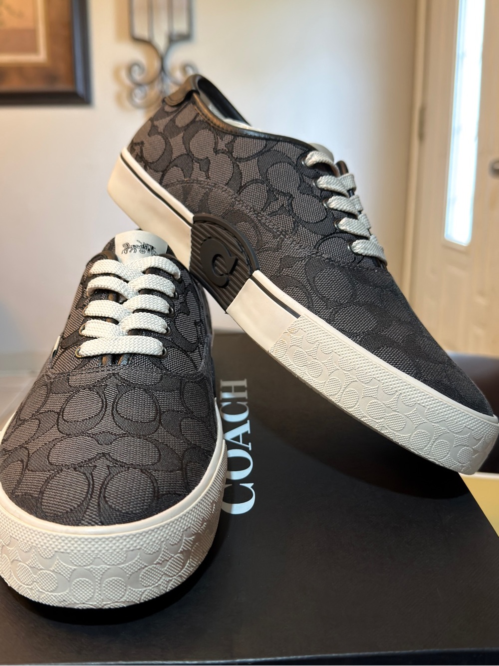 Coach Men's Signature sneakers